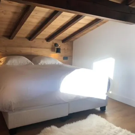 Apartment Duplex Vue Incroyable, 3 Chambres, 3 Salles De Bain Combloux